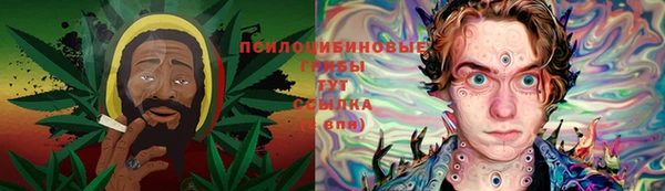 apvp Горно-Алтайск