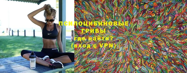 соль курить ск Горнозаводск